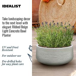 IDEALIST Lite Ribbed Light Concrete Bowl Planter
