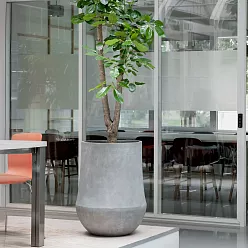 Polystone Planter | Tapered Indoor and Outdoor Plant Pot 