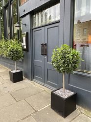 Square Fiberstone Planter by Idealist Premium