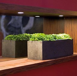 Trough Polystone Planter by Fleur Ami