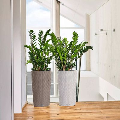 LECHUZA CILINDRO Cottage Round Tall Poly Resin Self-watering Planter
