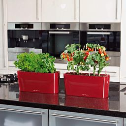 LECHUZA DELTA 10|DELTA 20 Poly Resin Indoor Self-watering Planter