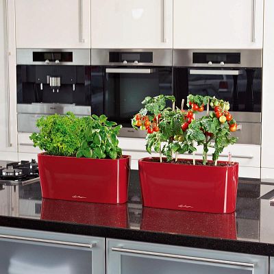 LECHUZA DELTA 10|DELTA 20 Poly Resin Indoor Self-watering Planter