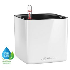 LECHUZA CUBE Glossy Square Poly Resin Indoor Self-watering Planter