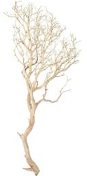 Manzanita Sand Blasted Branchy Artificial Branch