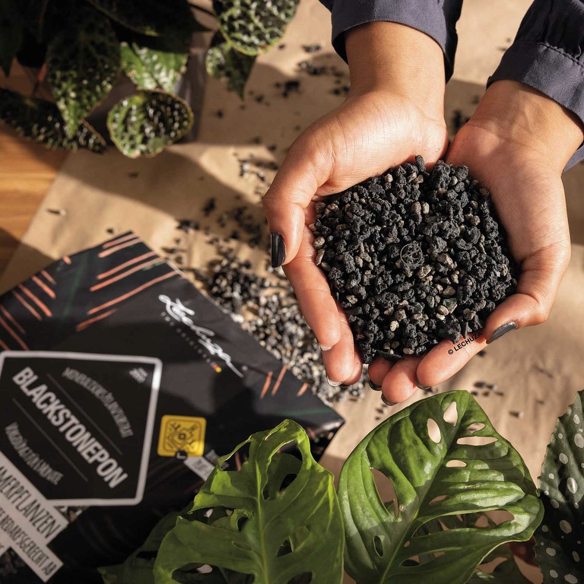 LECHUZA BLACKSTONEPON Pre-fertilized Potting Soil Compost for Indoor Houseplants