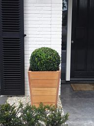 Hardwood Sevilla Tapered Square Tall Wood Outdoor Planter