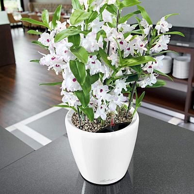 LECHUZA CLASSICO LS Round Poly Resin Self-watering Planter