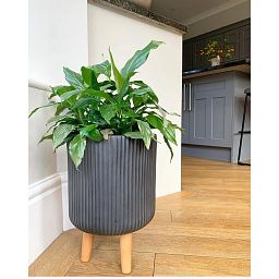 IDEALIST Lite Ribbed Cylinder Planter on Legs, Round Pot Plant Stand Indoor