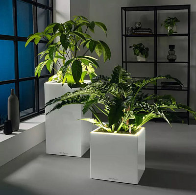 LECHUZA CANTO Premium High LED Square Tall Poly Resin Self-watering Planter