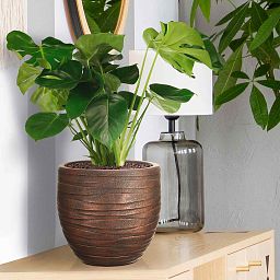 IDEALIST Lite Row Style Round Indoor Planter