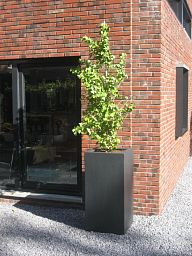 PURE High Cube Outdoor Fiberglass Planter