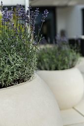 POLYSTONE GLOBE Outdoor Planter