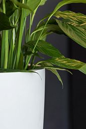 Fibrestone Ben Tall Planter by Idealist Premium