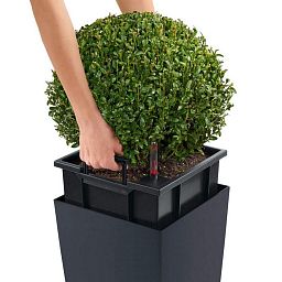 LECHUZA CUBICO Color Square Tall Poly Resin Self-watering Planter