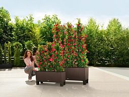 LECHUZA TRIO Cottage Trough Poly Resin Self-watering Planter