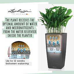 LECHUZA CUBICO ALTO Square Tall Poly Resin Self-watering Planter