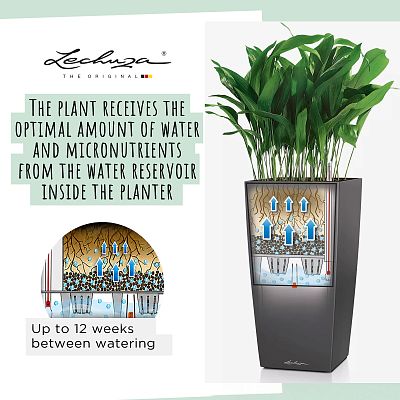 LECHUZA CUBICO ALTO Square Tall Poly Resin Self-watering Planter