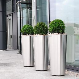 Superline Conica Topper on Ring Tall Indoor Planter