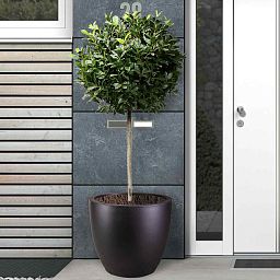 IDEALIST Lite Contemporary Light Concrete Egg Planter