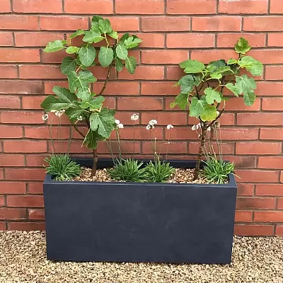 IDEALIST Lite Contemporary Light Concrete High Trough Planter Set