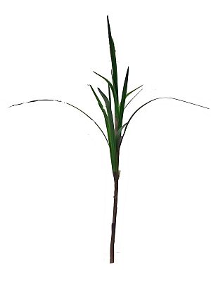Reed Stem Artificial Grass Plant