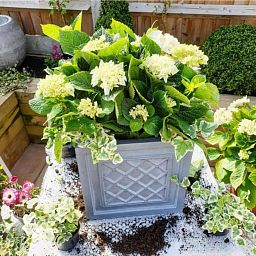 IDEALIST Lite Faux Lead Lattice Planter Light Concrete Square Box