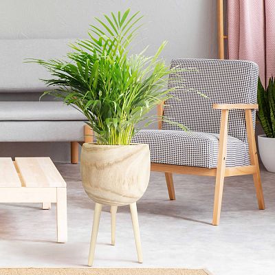 HORTICO TREND Wooden House Planter with Legs, Tall Indoor Plant Pot Stand with Waterproof Liner