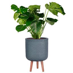 IDEALIST Lite Honeycomb Style Cylinder Planter on Legs, Round Pot Plant Stand Indoor