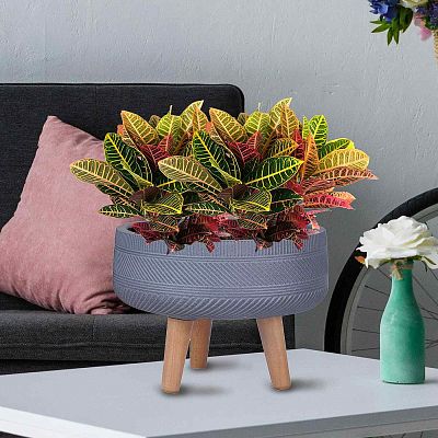IDEALIST Lite Striped Tray Round Planter on Legs, Round Pot Plant Stand Indoor