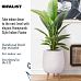 IDEALIST Lite Honeycomb Style Egg Planter on Legs, Round Pot Plant Stand Indoor