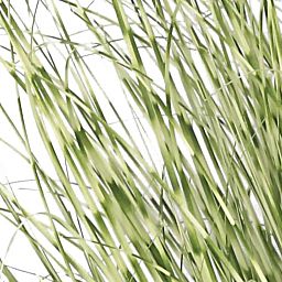 Zebra in metal pot Artificial Grass Plant