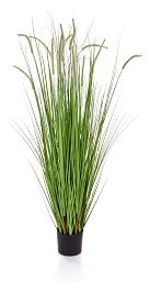 Dogtail with Pot Artificial Grass Plant