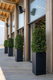 Tall Fiberstone Square Planter by Idealist Premium BOUVY