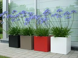 PURE Low Cube Outdoor Fibreglass Planter