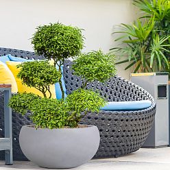 Classic Smooth Bowl Outdoor Planter by Idealist Lite Classic Smooth Bowl Outdoor Planter by Idealist Lite