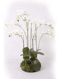 Phalaenopsis Orchid White Artificial Flower Plant