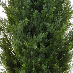 Topiary Cedar Mini Pine UV-resistant Artificial Tree Plant