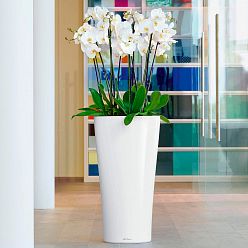 LECHUZA Delta Round Tall Poly Resin Self-watering Planter