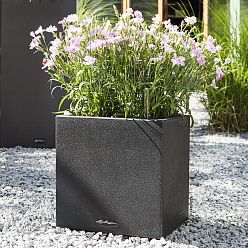 LECHUZA CANTO Stone Low Square Poly Resin Self-watering Planter