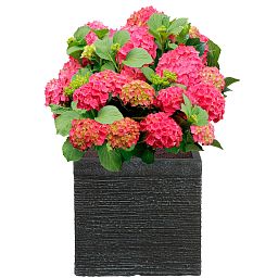 IDEALIST Lite Ribbed Light Concrete Square Planter