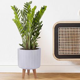IDEALIST Lite Modern Ribbed Cylinder Planter on Legs, Round Pot Plant Stand Indoor