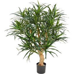 DRACAENA REFLEXA Artificial Tree Plant