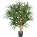 DRACAENA REFLEXA Artificial Tree Plant