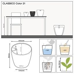 LECHUZA CLASSICO Color Round Poly Resin Self-watering Planter