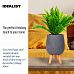 Honeycomb Style Indoor Egg Planter on Legs by Idealist Lite