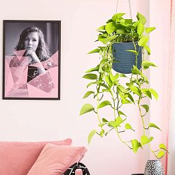 IDEALIST Lite Plaited Style Table and Hanging Cylinder Round Plant Pot Dual Use Indoor Planter