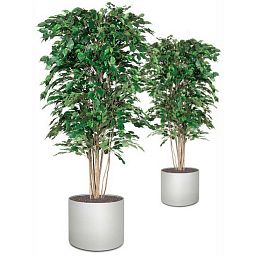 STARLINE Round Plastic Planter