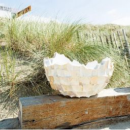 Shell Mother of pearl Bowl Polystone Indoor Planter