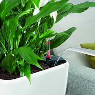 LECHUZA Quadro LS Square Poly Resin Self-watering Planter